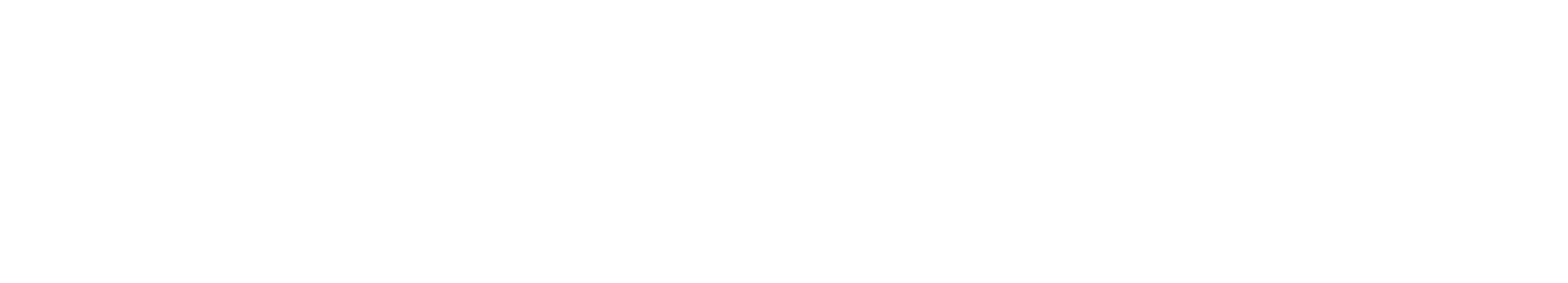 Birger Pedersen AS